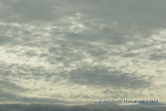 Clouds 01 02 2012