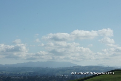 SONY DSC