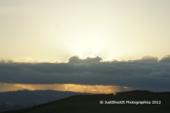 SONY DSC