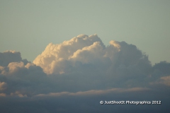 SONY DSC