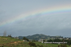 SONY DSC
