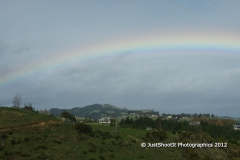 SONY DSC