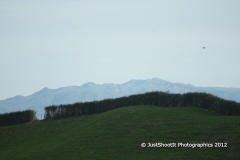 SONY DSC