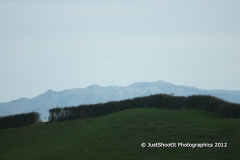 SONY DSC