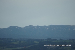 SONY DSC