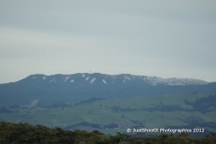 SONY DSC