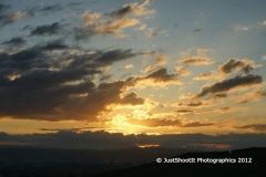 SONY DSC
