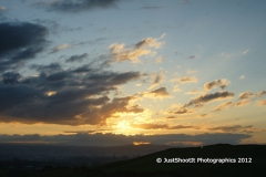 SONY DSC