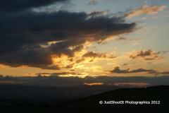 SONY DSC