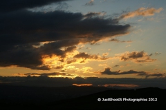 SONY DSC