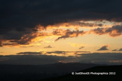 SONY DSC