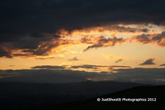 SONY DSC