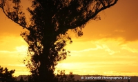 Sunsets 07 02 2011