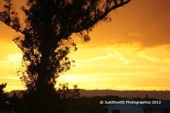 SONY DSC