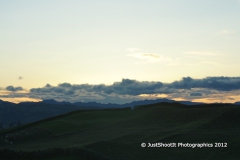 SONY DSC