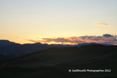 SONY DSC