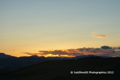 SONY DSC