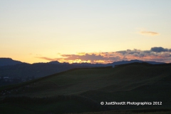 SONY DSC