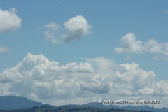 SONY DSC