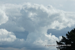 SONY DSC