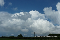 SONY DSC
