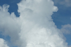 SONY DSC
