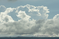 SONY DSC