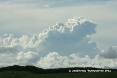 SONY DSC