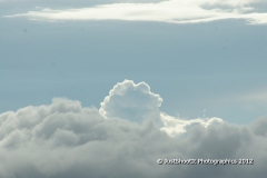 SONY DSC