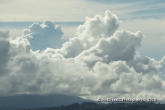 SONY DSC