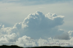 SONY DSC