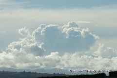 SONY DSC