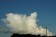 SONY DSC